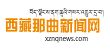 西藏那曲新闻网